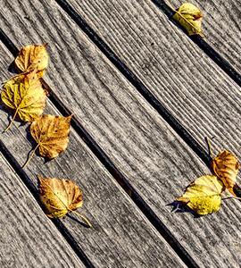 Sol pour terrasse et Jardin