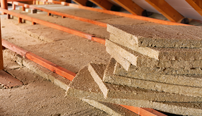 Sélection Isolation Biofib