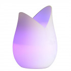 Brumisateur maison lili