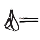 Pack zolux harnais noir en nylon 25mm - laisse noire 1m