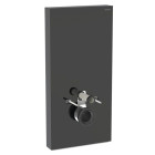 Panneau Geberit Monolith pour wc suspendu noir