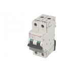 Disjoncteur Modulaire 2 Pôles 10A Courbe C 6 KA