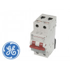 Interrupteur Sectionneur Modulaire 2 pôles NO à fermeture 63 A / 415 V 2 Modules