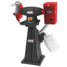 Touret combiné femi 199 evo - 1500 w triphasé - ø 250x35x25 mm - sans meule, ni brosse - 8005832
