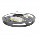 Ruban led 24v 5m smd2835 ip20 240led/m - couleur eclairage au choix