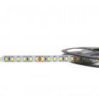 Ruban led 24v 5m smd2835 ip20 120led/m - couleur eclairage au choix