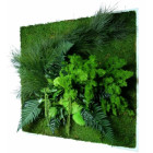 Tableau nature carré xl avec plantes stabilisées 80x80cm