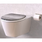 Siège de toilette avec fermeture en douceur industrial grey