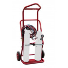 Diable porte 2 bouteilles élingable 100 kg - FIMM - 810008371
