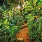Photo murale jungle trail 368 x 254 cm