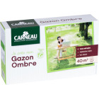 Gazon pour jardin ombragé