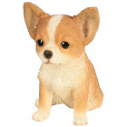 Bébé chiwawa en résine 16 cm