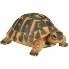 Tortue hermann en résine