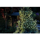 Guirlande led d'extérieur 1 m