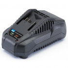 Chargeur de batterie storm force 20v