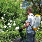 Hozelock Pulvérisateur à pression sac dos Plus 16 L