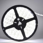 Ruban led 12v 5m smd5050 60led/m ip44 - couleur eclairage au choix