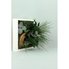 Tableau nature mono avec plantes stabilisées