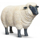 Brebis tête haute en résine 103 cm
