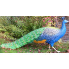Paon à couronne en résine taille réelle Paon à couronne en résine taille réelle