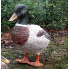 Canard colvert en résine géant