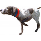 Chien de chasse pointer en résine 130 cm