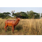 Cerf adulte patriarche en résine 116 cm