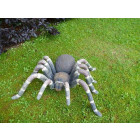 Araignée géante en résine 92 cm
