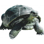 Tortue du galapagos en résine 151 cm