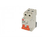 Disjoncteur modulaire 63a 2p (courbe d)