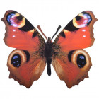 Décoration murale papillon (lot de 2)