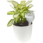 Réserve d'eau goutte à goutte décorative 70 cl Blanc