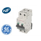 Disjoncteur Modulaire 2 Pôles 63A Courbe C 6 KA