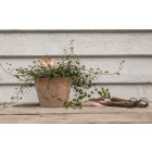 Etiquettes à plantes en cuivre (lot de 6)