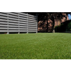 Rouleau de gazon synthétique 42 mm luxe 2 x 5 m