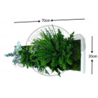 Tableau nature panoramic avec plantes stabilisées 20x72cm