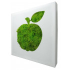Tableau végétal picto pomme en lichen stabilisé 20cm