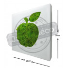 Tableau végétal picto pomme en lichen stabilisé 20cm