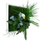 Tableau nature mono avec plantes stabilisées
