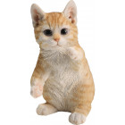 Chaton roux sur pattes arrières en résine 21 cm