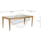 Table en polyrésine et verre