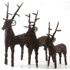 Cerf sur pied grand modèle