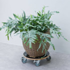 Chariot à plantes rond ø38 cm noir bois