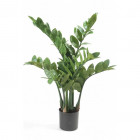 Zamioculcas artificiel 70 cm