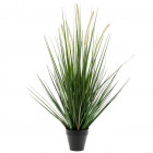 Herbe artificielle alopecurus vert 120 cm 418166