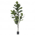 Ficus lyrata artificiel 160 cm