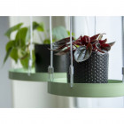 Plateau suspendu pour plantes rond vert s