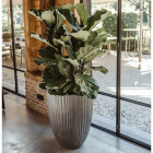 Pot à fleurs urban tube bas élégant 55x73 cm gris foncé