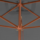 Vidaxl parasol d'extérieur avec mât en bois 200 x 300 cm anthracite