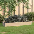 Jardinière surélevée 50x150 cm bois de pin solide